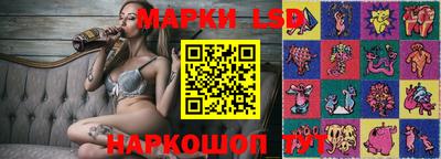 гидропоника Тверь