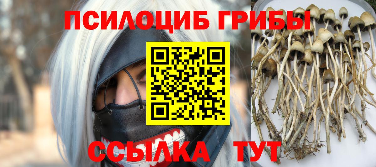 Псилоцибиновые грибы мицелий Барабинск
