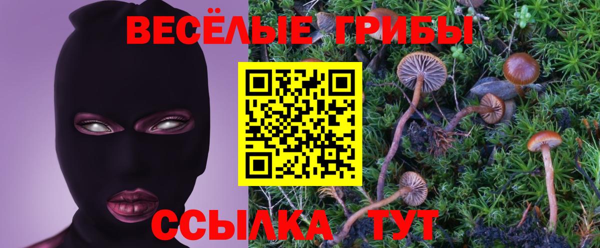 Псилоцибиновые грибы Psilocybe  Галлюциногенные грибы прущие грибы  Вход с VPN  Барабинск 